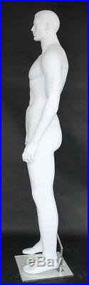 6'4H Muscalur Male Mannequin torso Body Form white colored M705WT NEW