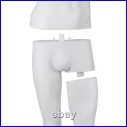 73 Male Mannequin Full Body Dress Form Realistic Display Head with Base White