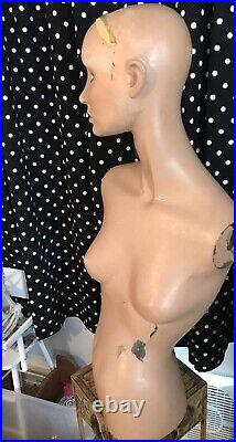 Beautiful Vintage Woman's Display Mannequin Head And Torso