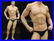Big_Muscle_Male_Mannequin_Dress_Form_Display_MD_MANF_01_ru