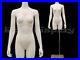 Female_Mannequin_Torso_With_Removable_neck_and_Arms_MD_TFW_IV_01_naz