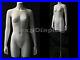 Female_Mannequin_Torso_With_nice_figure_and_arms_MD_TFW_01_fmsd