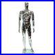 Glossy_Silver_Male_Full_Body_Mannequin_Egghead_Face_New_Style_Free_Shipping_01_yx