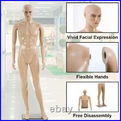 Male Mannequin Detachable Mannequin Stand Torso Dress Form Full Body 73 Inches
