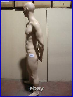Mannequin Doll Fashion Doll Male 10813 Man Doll Rootstein
