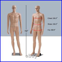 New 73 Male Mannequin Realistic Display Head Turns Dress Form with Metal Base