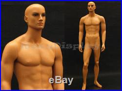 Tan skin young male mannequin Dress From Display #MD-HAM25