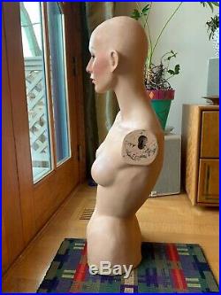 Vintage DG Williams mannequin torso and head